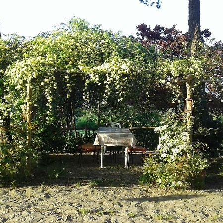 B&B Della Rosa Civitella D'Arna ภายนอก รูปภาพ