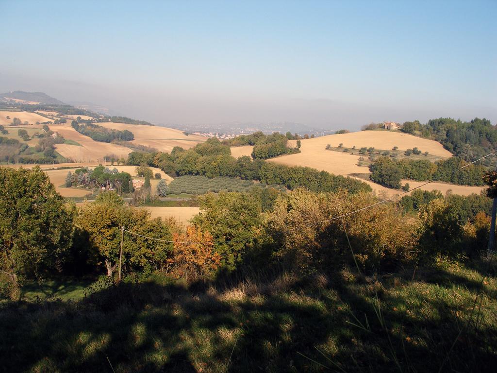 B&B Della Rosa Civitella D'Arna ภายนอก รูปภาพ