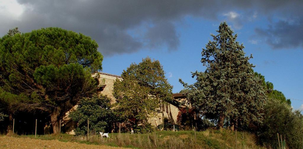 B&B Della Rosa Civitella D'Arna ภายนอก รูปภาพ
