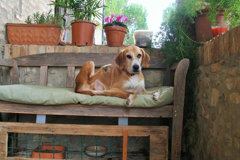B&B Della Rosa Civitella D'Arna ภายนอก รูปภาพ