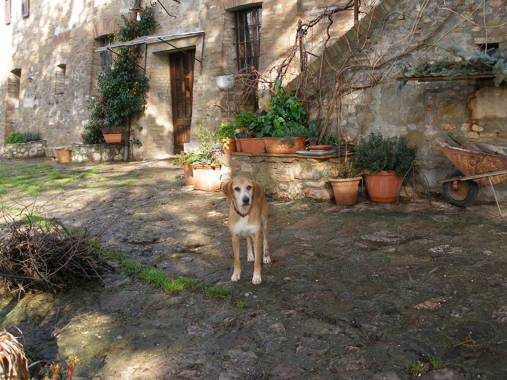 B&B Della Rosa Civitella D'Arna ภายนอก รูปภาพ