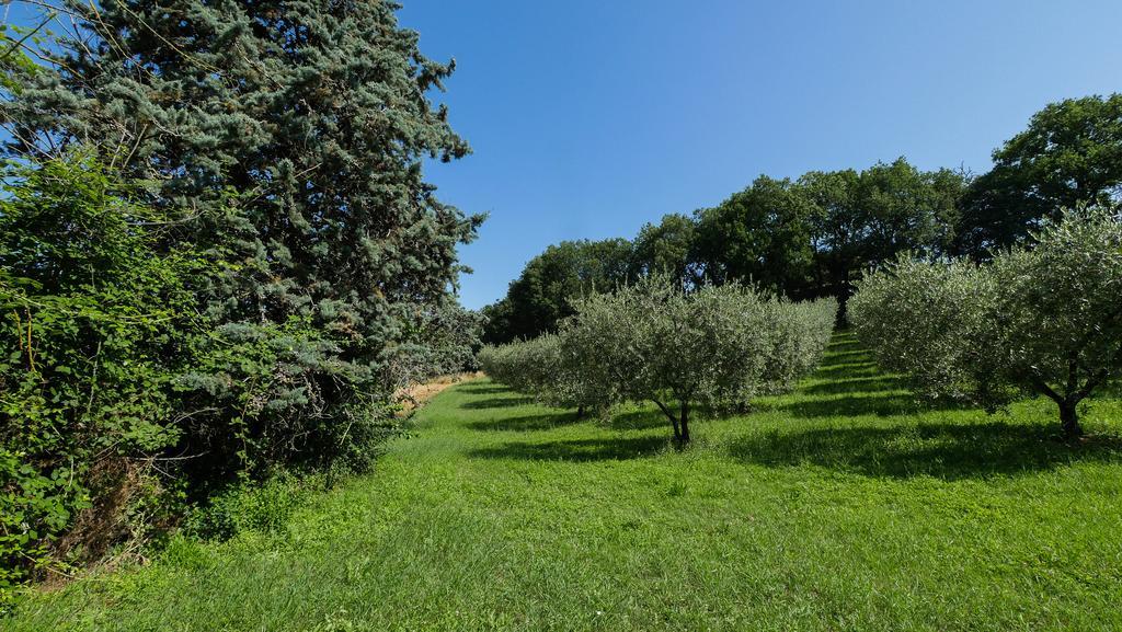 B&B Della Rosa Civitella D'Arna ภายนอก รูปภาพ